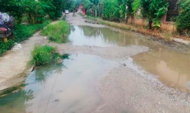 Las distintas colonias de San Juan Bautista Tuxtepec están en completo abandono 