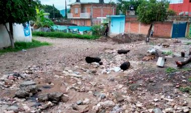 En el olvido las colonias de Izúcar