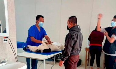 Con jornada de esterilización canina apoya Antorcha a texcocanos