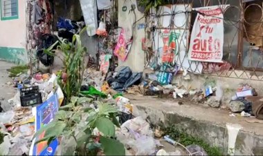 Vecino de calle Jalisco, en Xalapa vive entre basura, urgen a la autoridad hacer algo al respecto