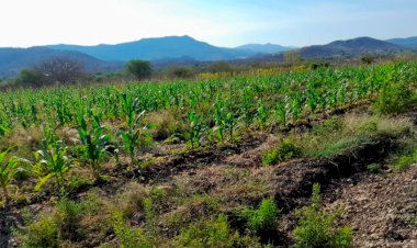 Linderos del Sur demanda apoyo al campo