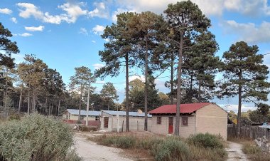 Sin luz y sin pavimento viven en comunidades de Chihuahua