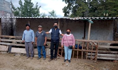 Apoya Antorcha en Coxcatlán proyecto de ganado menor