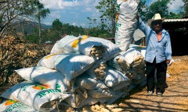 Nuevos retos para el campo en Guerrero para 2022