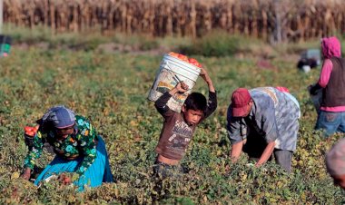 Por qué debe luchar el campesinado mexicano