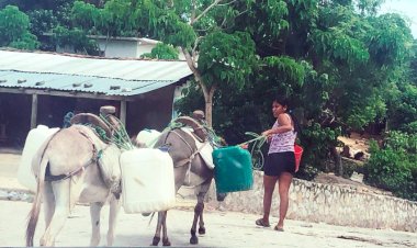 Habitantes de Apalani, sin servicios básicos 