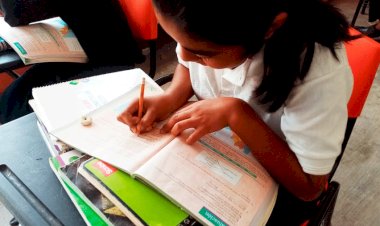 AMLO, al derribe de la educación