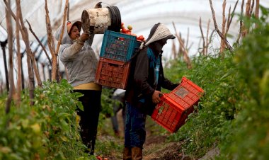 Producción para el Bienestar, urge un verdadero apoyo al campo