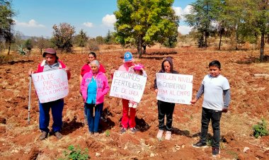 Urge la atención al campo mexicano; Teresa Esquivel