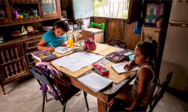 Riesgos de la educación en pandemia: alumnos con menor aprendizaje y menos habilidades 