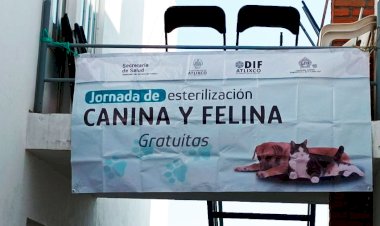 Llevan jornada de esterilización para mascotas 