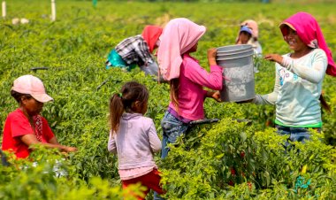 Quién ostenta el poder económico de Michoacán