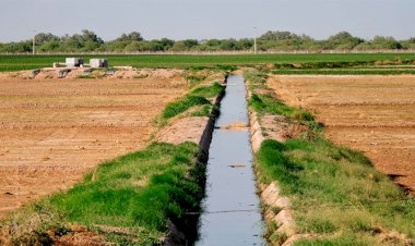 Muerte, desempleo, hambre, efectos de la sequía en Coahuila