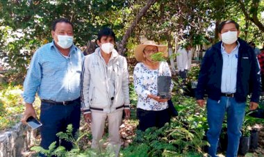 Conmemoran  Día Internacional de la Madre Tierra en Tepexi