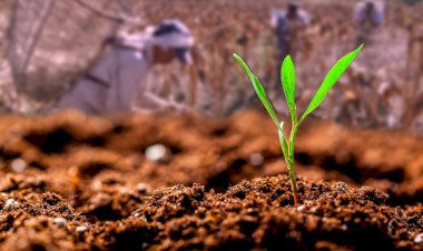 Necesidad de un cambio de modelo en el sector agrícola