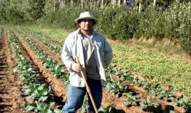 Vila está en deuda con Yucatán 