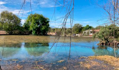 La lucha por rescatar el lago de Pátzcuaro