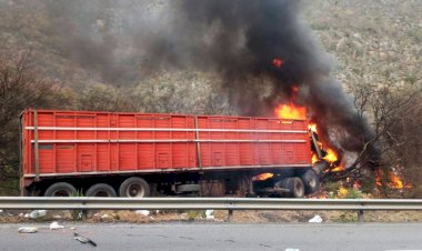 Exigen encontrar a los culpables del accidente en carretera Rumbo Nuevo