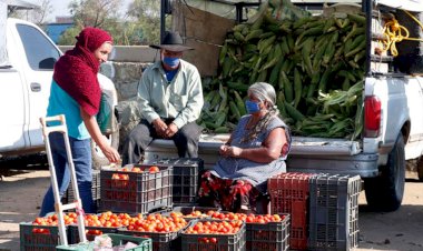 Antorcha llama a productores oaxaqueños a luchar contra injusticia de la 4T