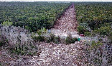 Otorgan suspención al Tramo 5 del Tren Maya, obra emblema de la 4T