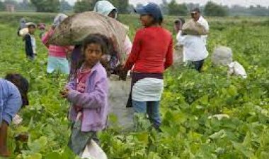 En completo abandono, el trabajador mexicano