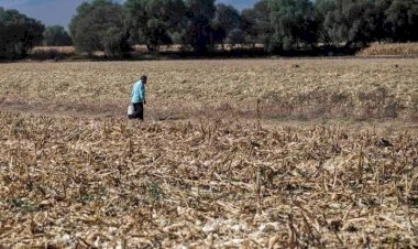 Guerrero, dificultades en la producción