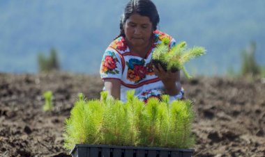 Agricultura de autoconsumo no hace frente a la inflación