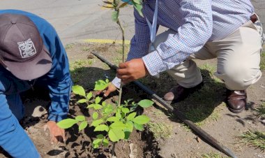 Antorcha Ecatepec preserva el medio ambiente