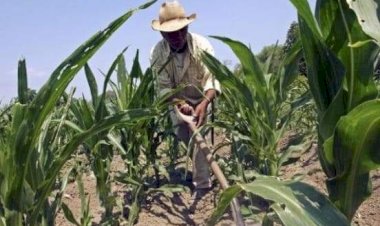 Los trabajadores como productores de riqueza tienen derecho a vivienda digna