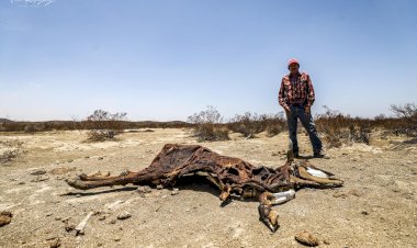 Campo mexicano, abandonado por el gobierno de los pobres