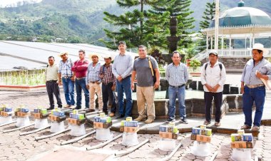 Ayuntamiento de Huitzilan no cargará gasto de alumbrado público al pueblo