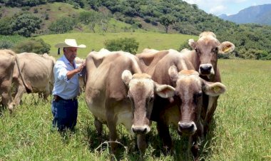 Continúan afectaciones por sequía al campo de la región sur de Chihuahua