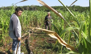 Pobreza en el campo y ausencia de apoyo gubernamental