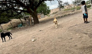 Crece pobreza extrema en Cuevillas, Mexquitic