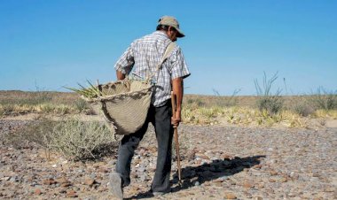 El campo mexicano necesita de inversión productiva