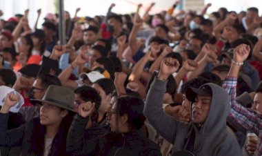 Y los jóvenes para cuándo