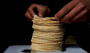 Precio de la tortilla amenaza alimentación de los pobres