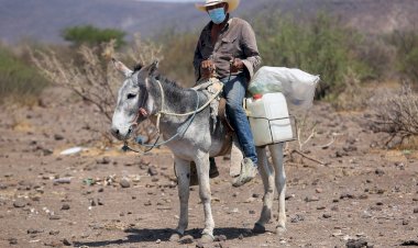 El abandono al campo duranguense