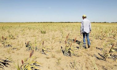 Presupuesto 2023 con nuevos recortes y más pobreza