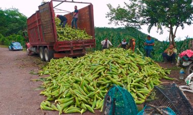 Continúan campesinos de Zoyatepec a merced de acaparadores