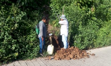 Lucha social rinde frutos en Xilitla, San Luis Potosí