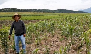 El abandono de los campesinos