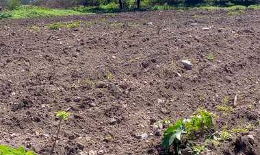 Alarmante sequía en Cuayuca, Puebla