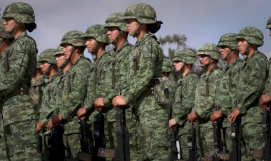 Guacamaya alcanzó a la 4T