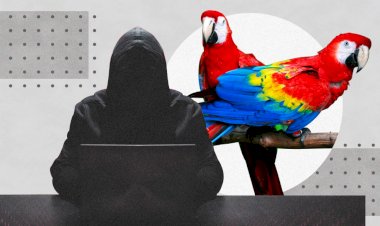 Guacamaya, hacktivismo y los verdaderos crímenes