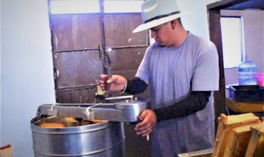 Impulsan antorchistas producción de miel en Fresnillo