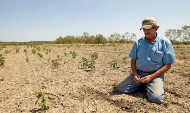 Discrimina 4T a campesinos; ellos deben organizarse y luchar