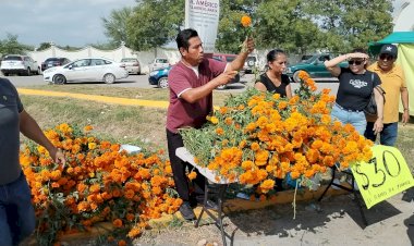 Actividades económicas, necesarias para solventar la lucha: