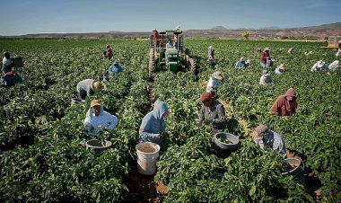 Las remesas de Guerrero, un alivio a la difícil situación económica