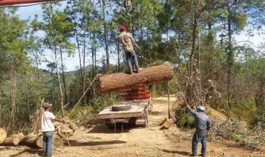 REPORTAJE | Octava región económica de Guerrero, por la justicia social de los pueblos